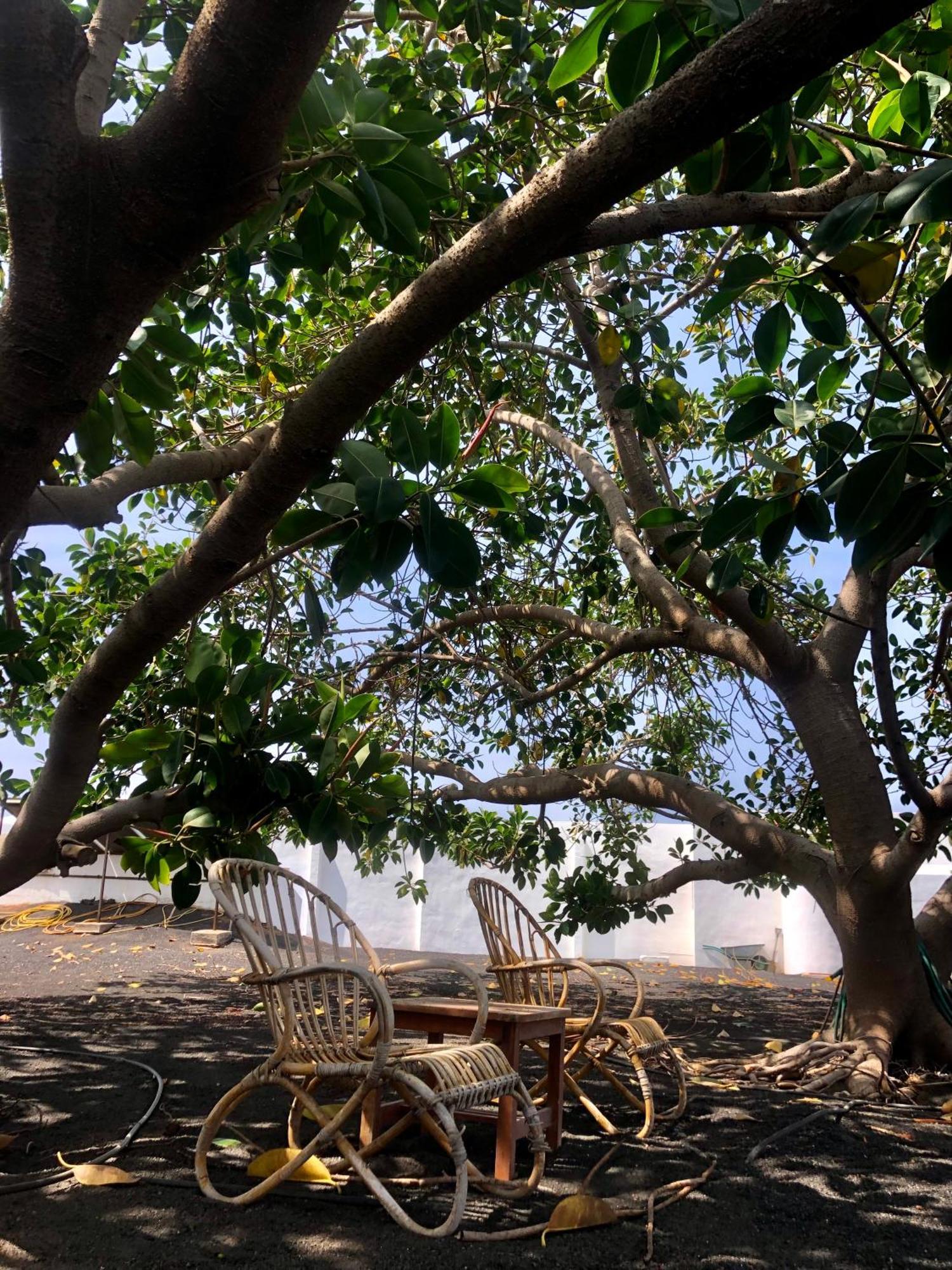Villa Luciano "Spirit Of The Canaries" Tias Ngoại thất bức ảnh